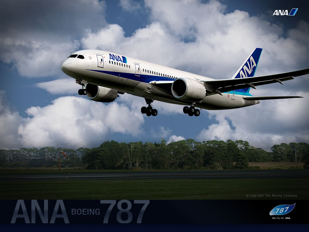 Special Ana ボーイング787 Ana Sky Web