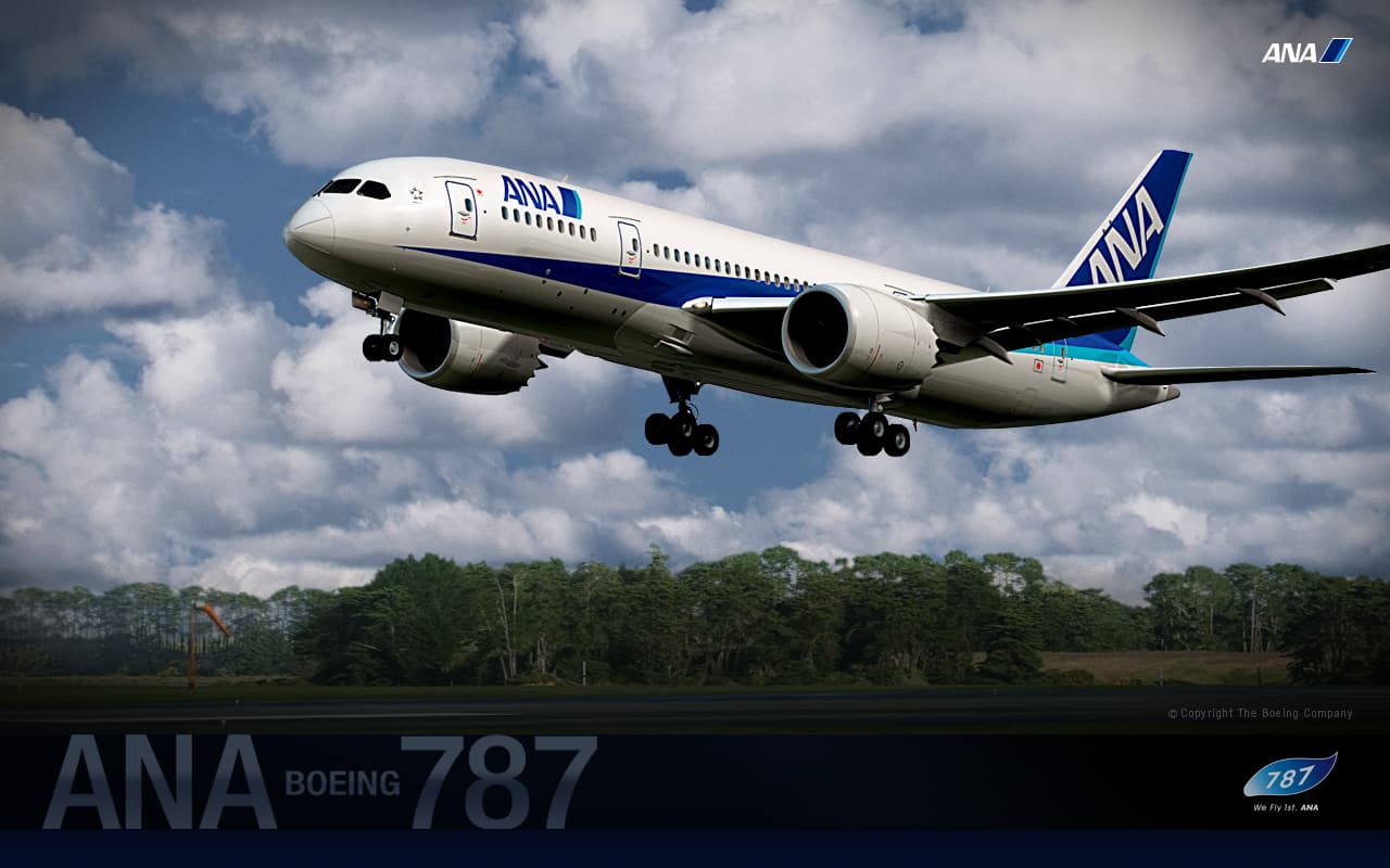 Special Ana Boeing 787 Ana Sky Web