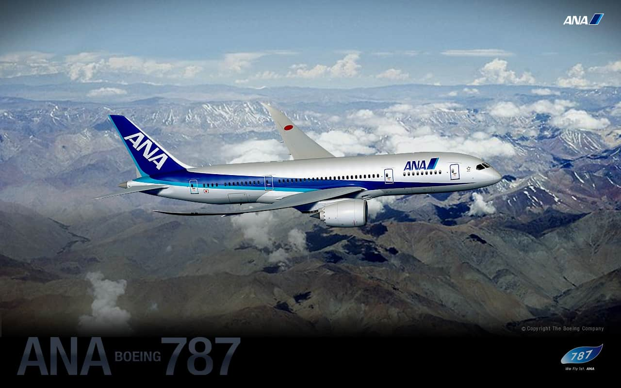 Special Ana Boeing 787 Ana Sky Web