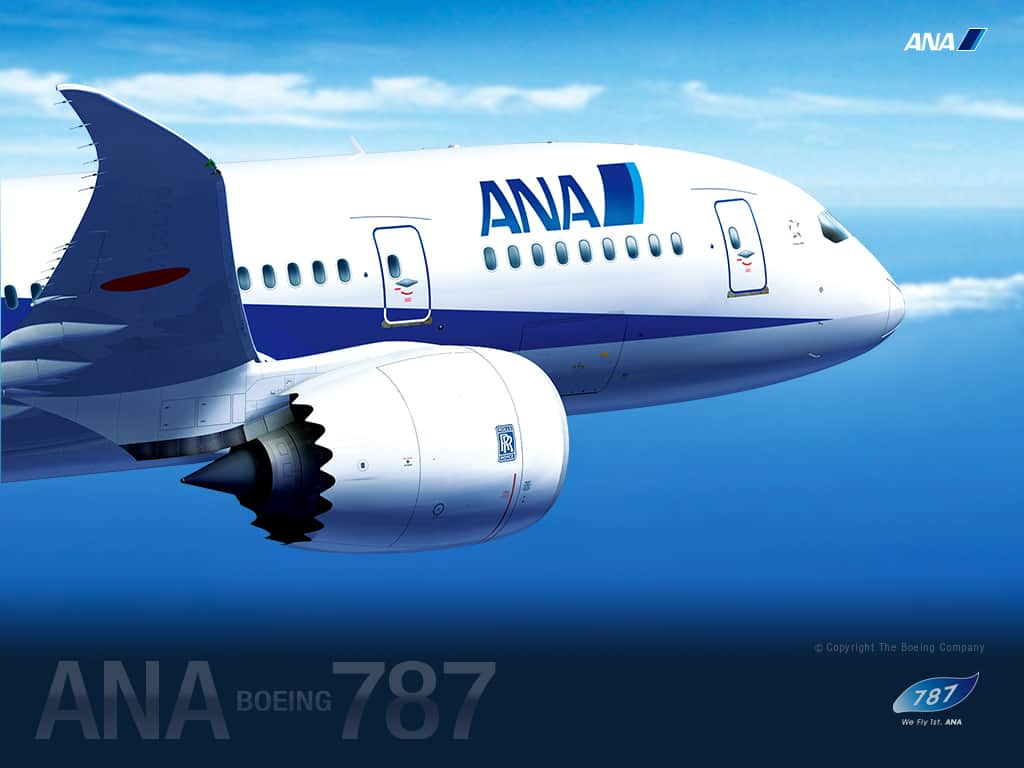 Special Ana ボーイング787 Ana Sky Web