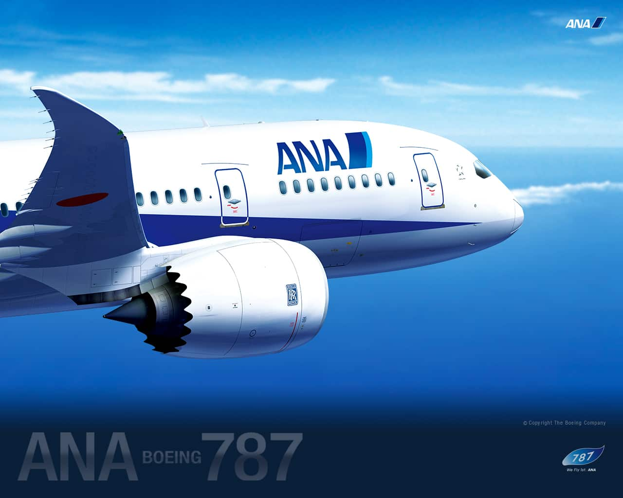 Special Ana Boeing 787 Ana Sky Web