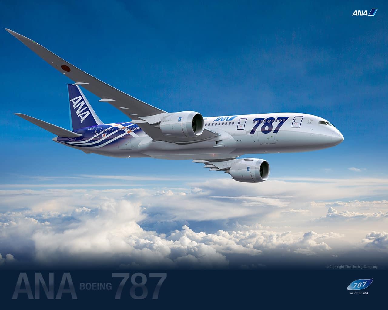 Special Ana ボーイング787 Ana Sky Web