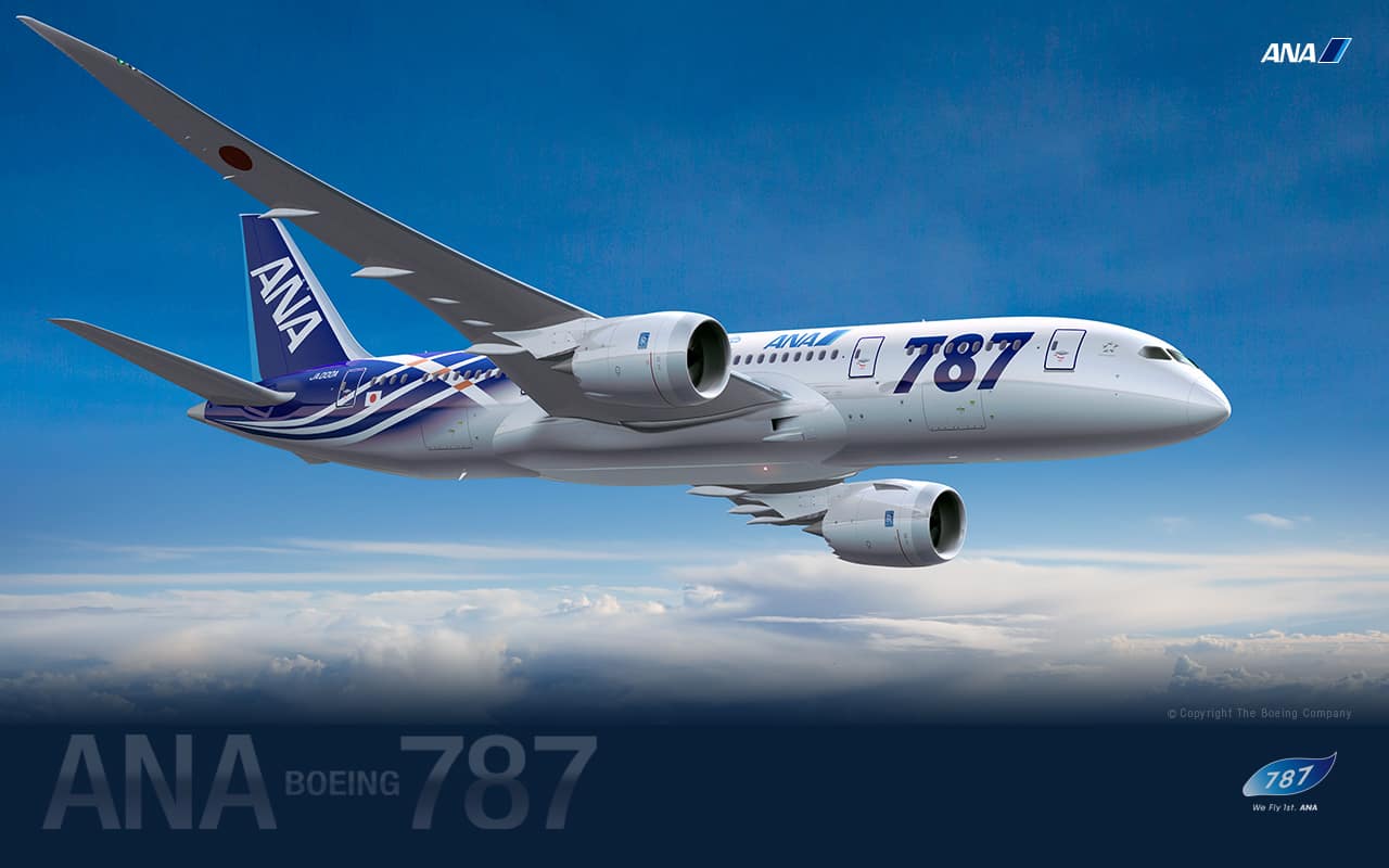 Special Ana Boeing 787 Ana Sky Web