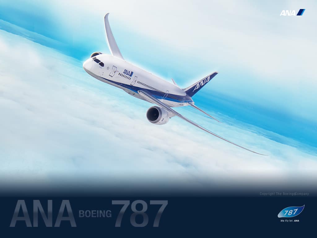 Special Ana ボーイング787 Ana Sky Web