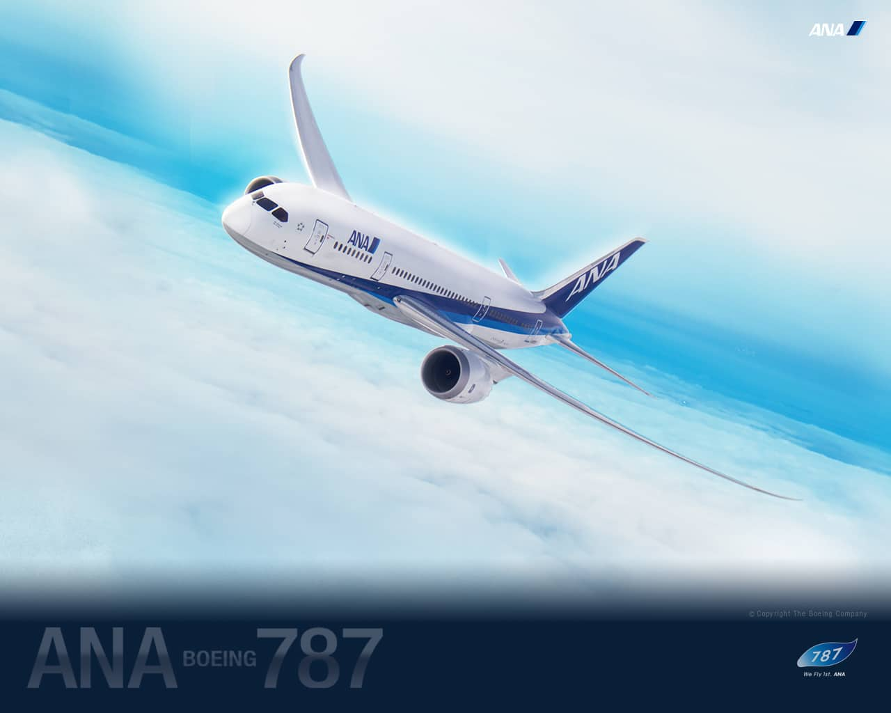 Special Ana Boeing 787 Ana Sky Web