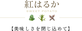 紅はるか 【美味しさを閉じ込めて】