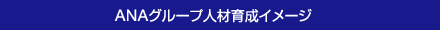 ANAグループ人材育成イメージ