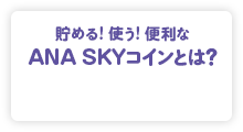 貯める!使う!便利なANA SKY コインとは？