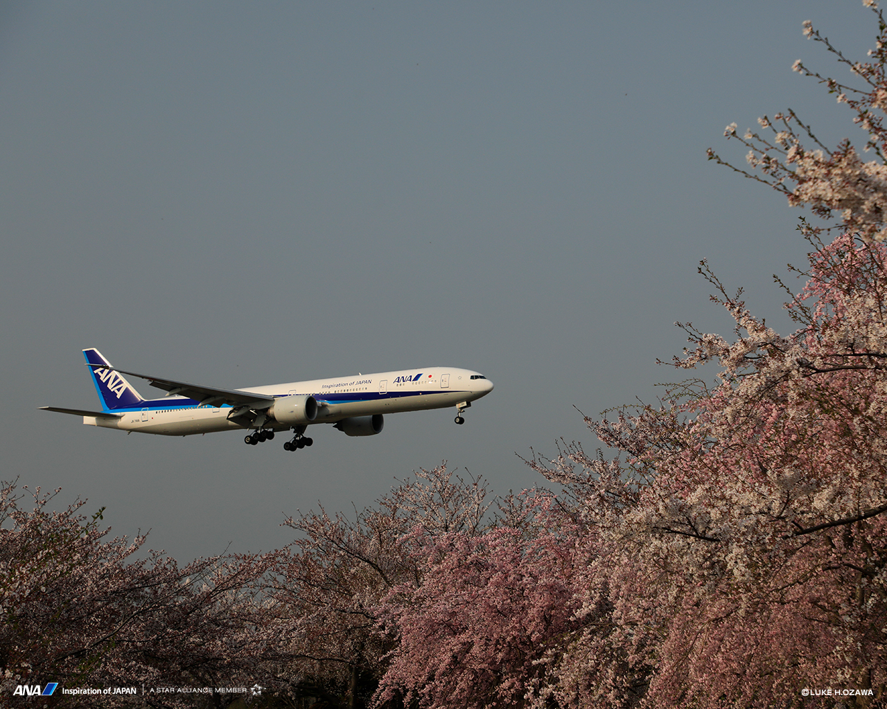 飛行機や空の壁紙カレンダーをフリーダウンロード バックナンバー Ana