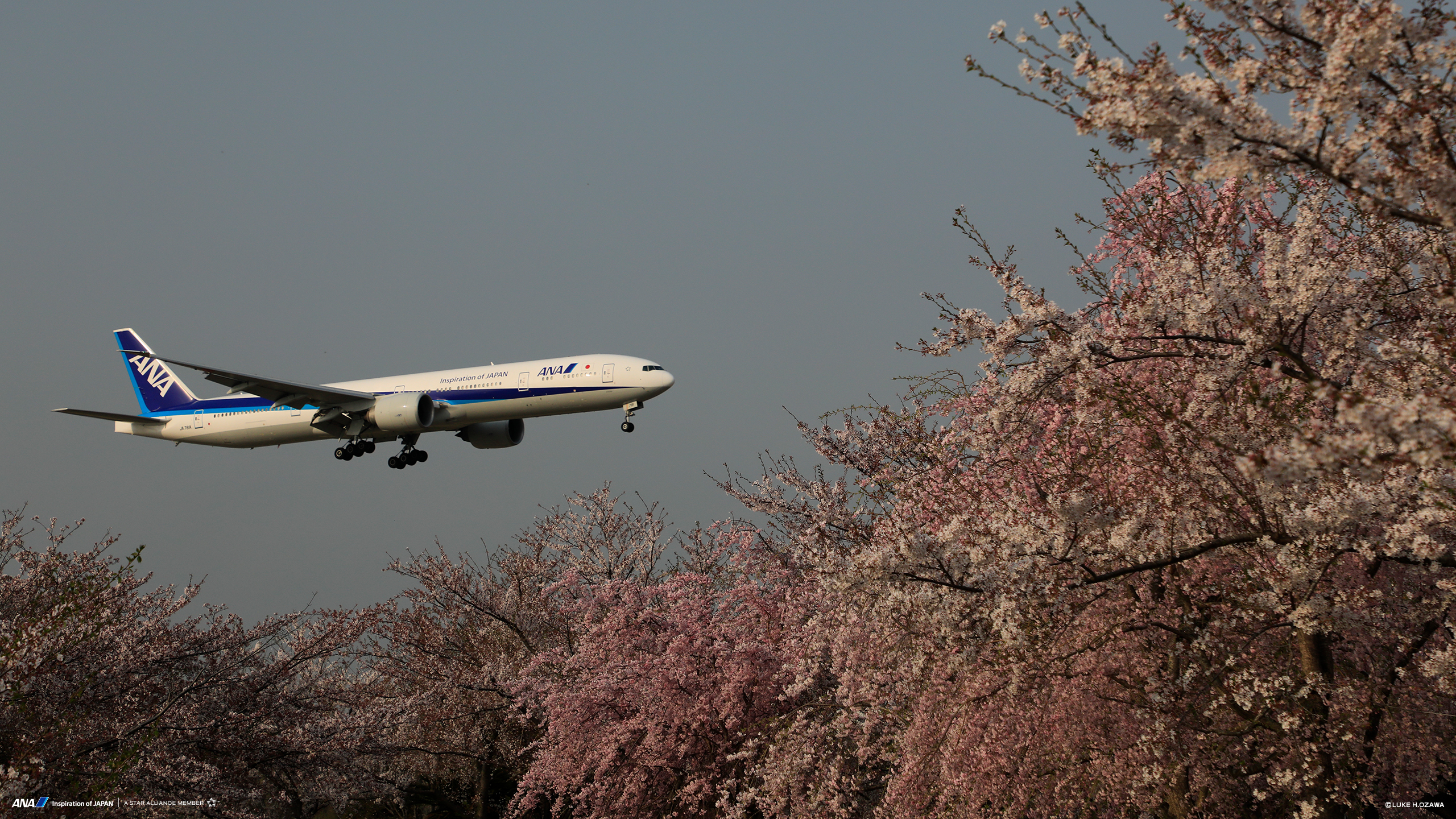 飛行機や空の壁紙カレンダーをフリーダウンロード バックナンバー Ana