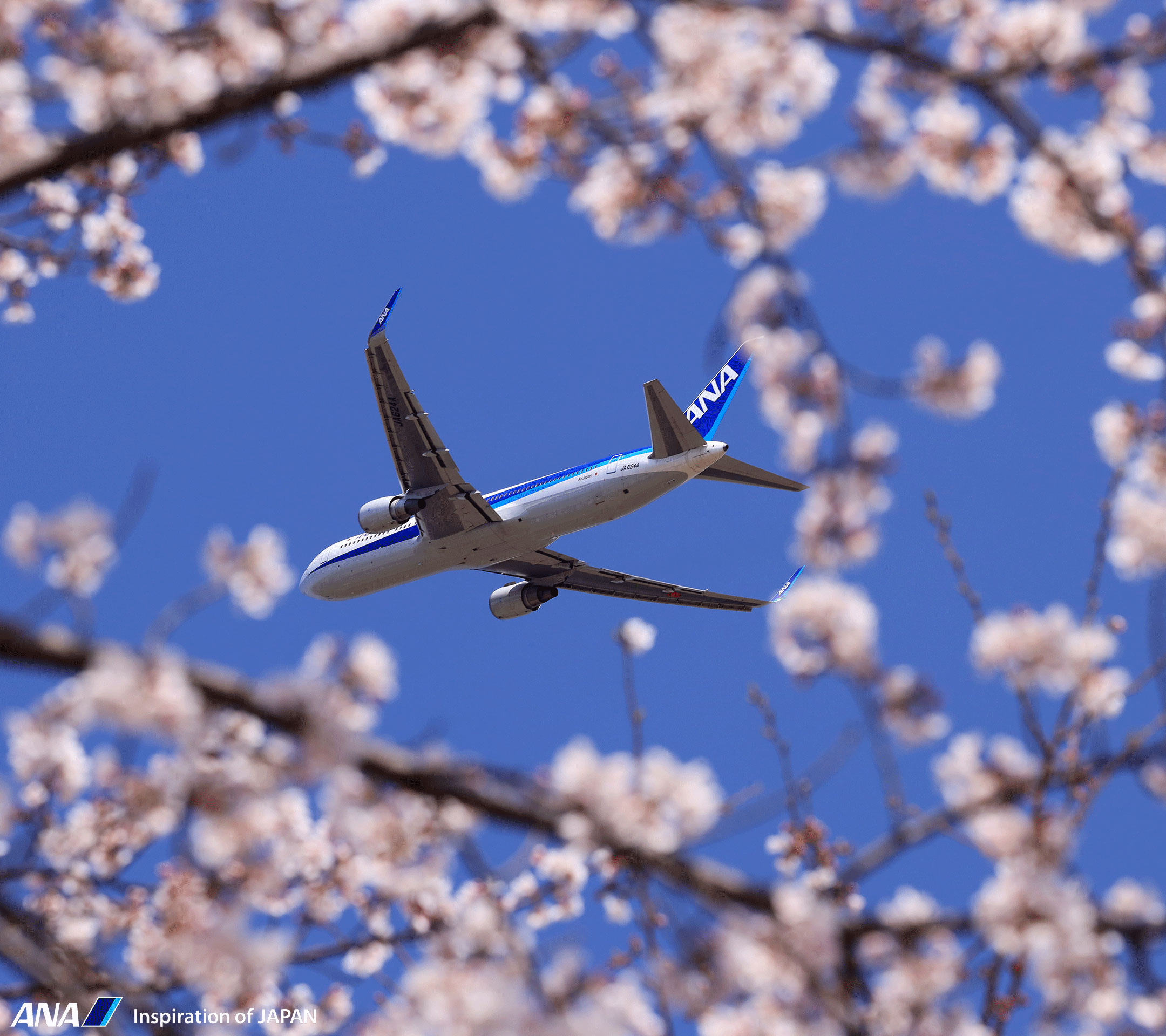 飛行機や空のanaオリジナル壁紙をフリーダウンロード スマートフォン Ana