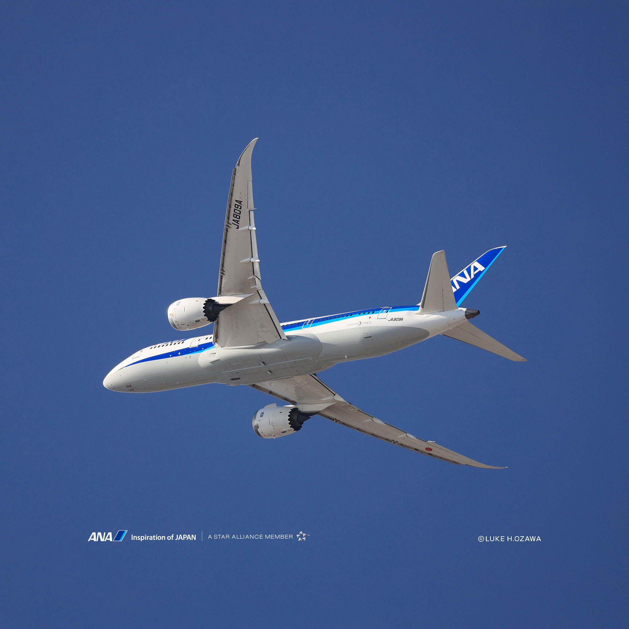 飛行機や空のanaオリジナル壁紙をフリーダウンロード Ana 飛行機や空のanaオリジナル壁紙をフリーダウンロード Ana