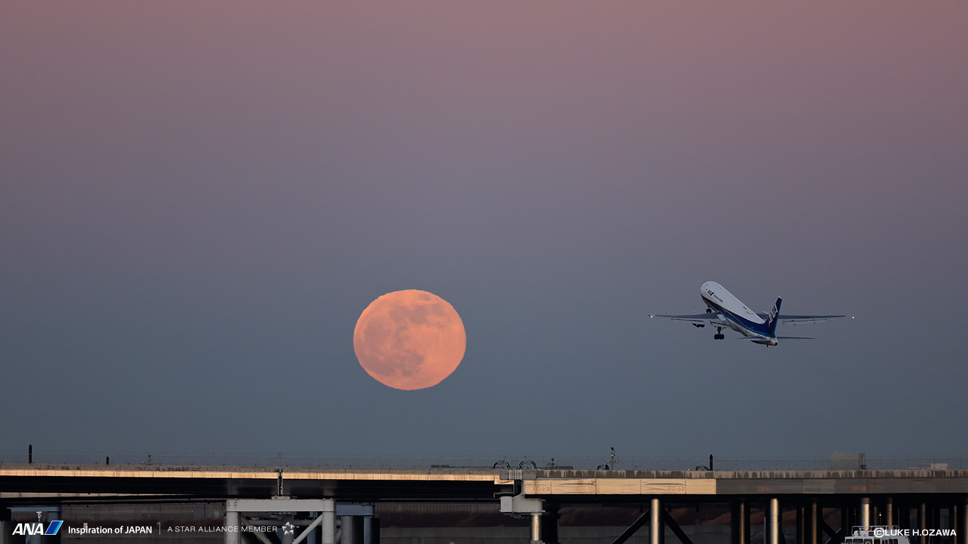 飛行機や空のanaオリジナル壁紙をフリーダウンロード Ana