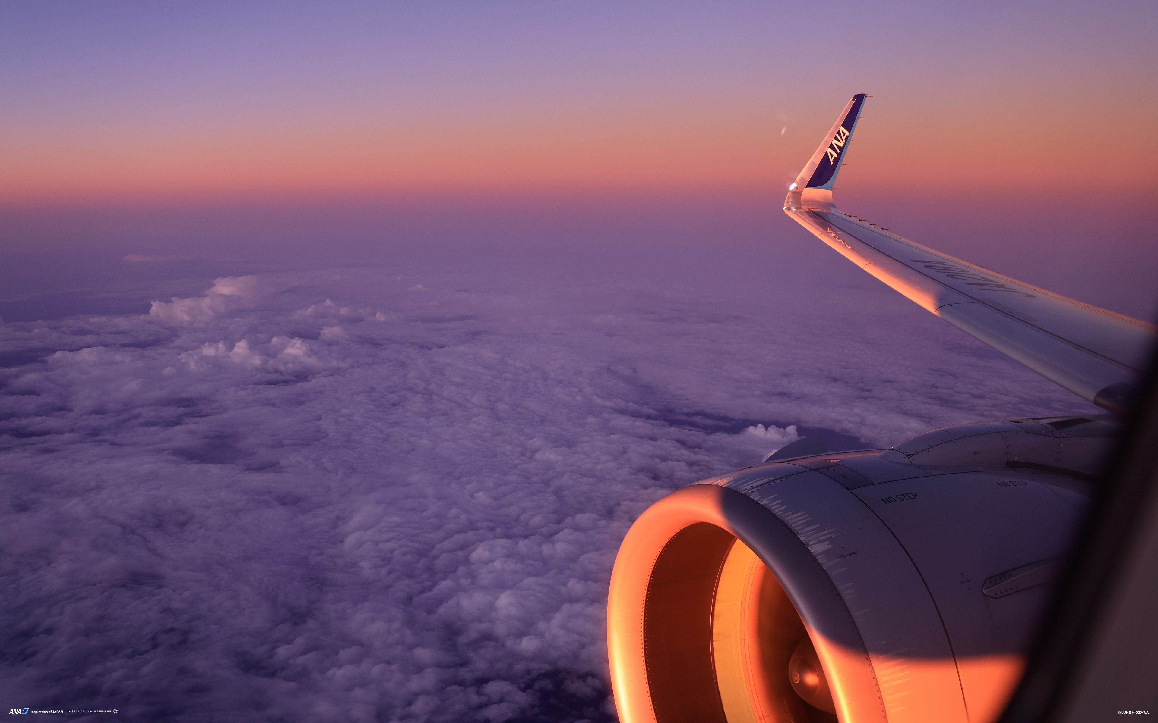 飛行機や空のanaオリジナル壁紙をフリーダウンロード Ana