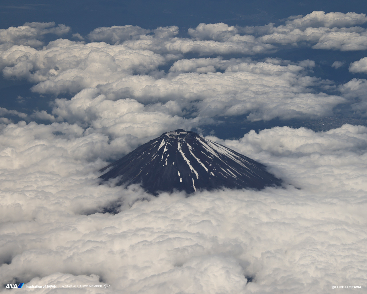 Download Wallpapers Ana