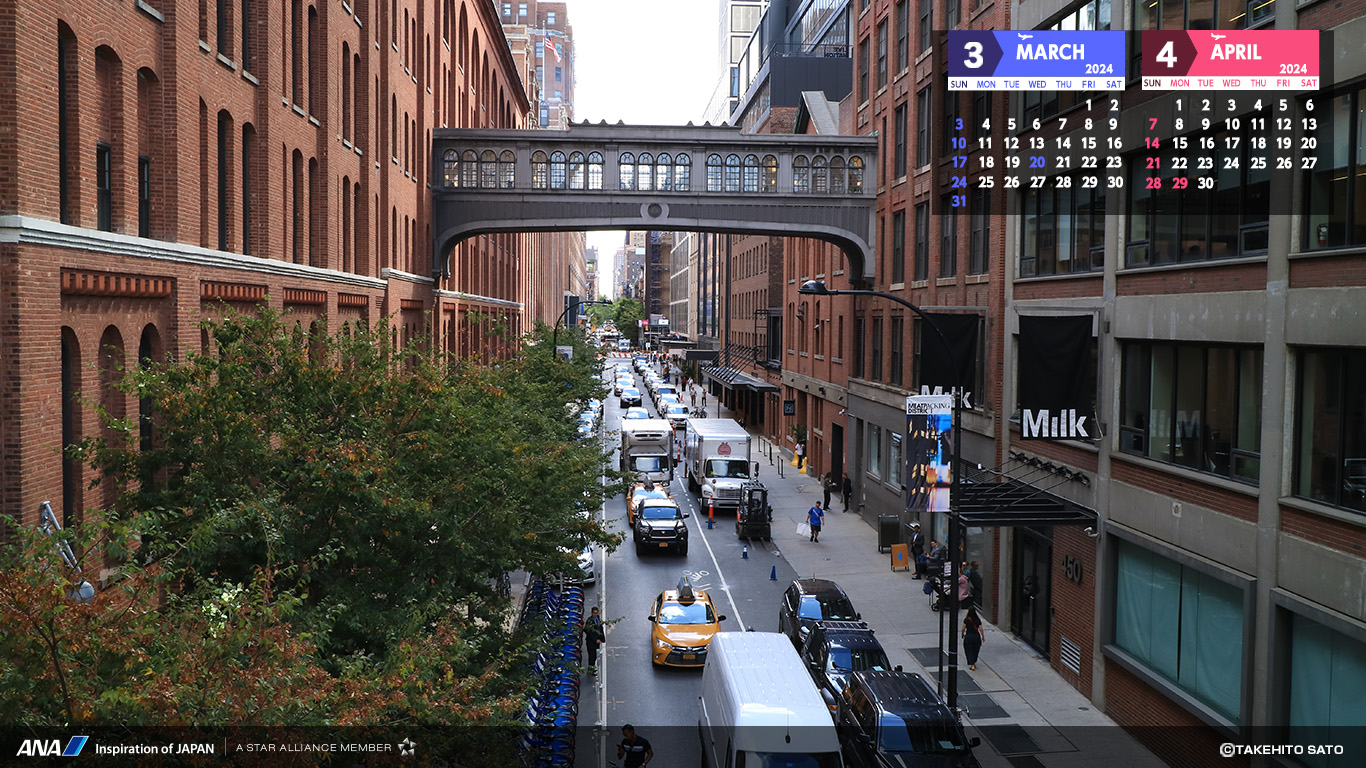 Download Wallpapers|ANA