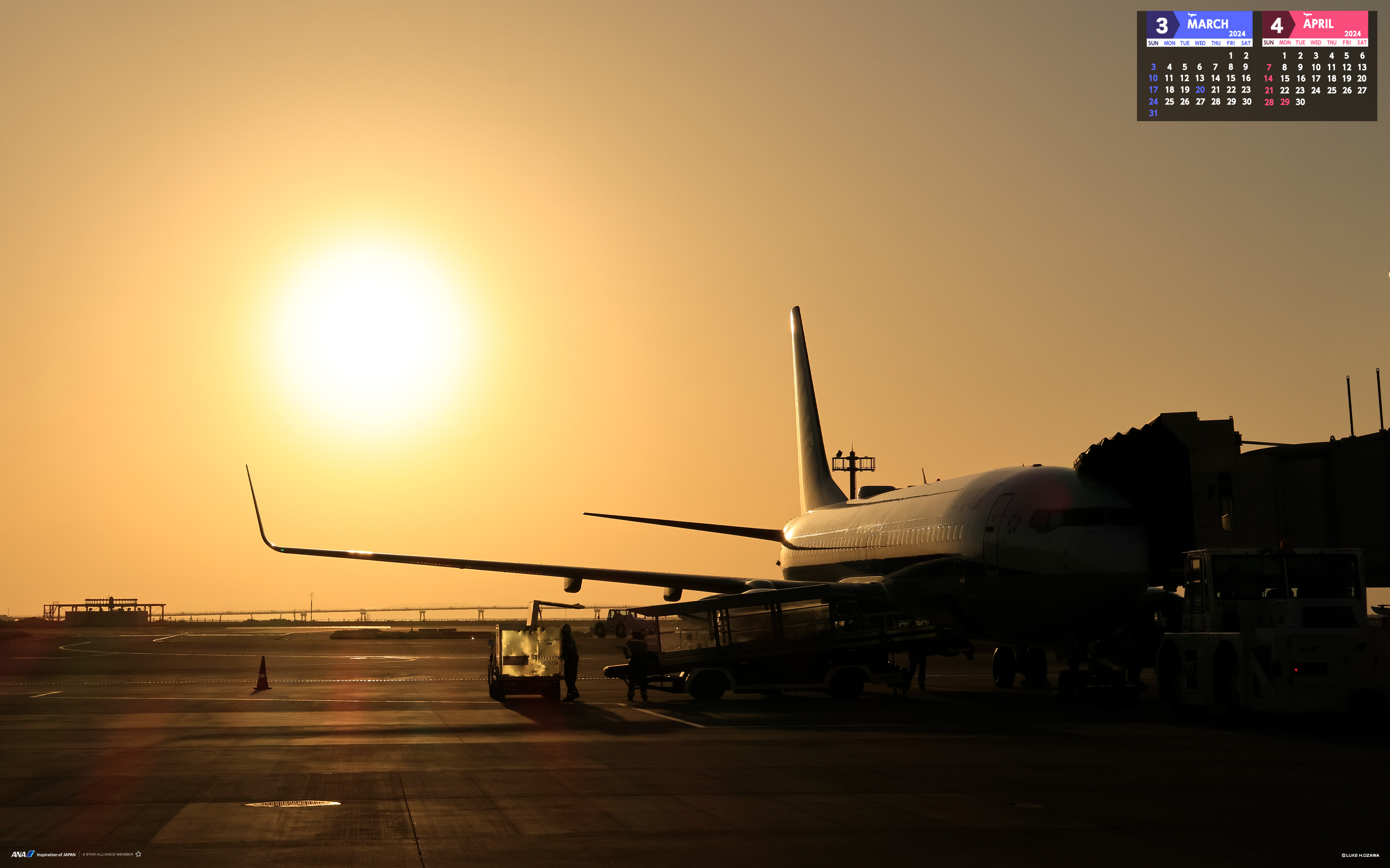 Download Wallpapers|ANA