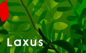 Laxus（ラクサス）