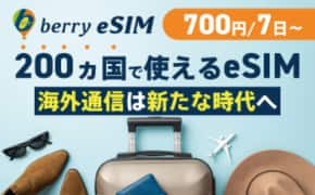 ベリーeSIM