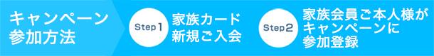 Anaカード 家族カード入会キャンペーン Anaマイレージクラブ