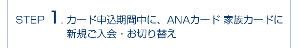 Anaカード 家族カード入会キャンペーン Anaマイレージクラブ