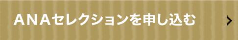 ANAセレクションを申し込む