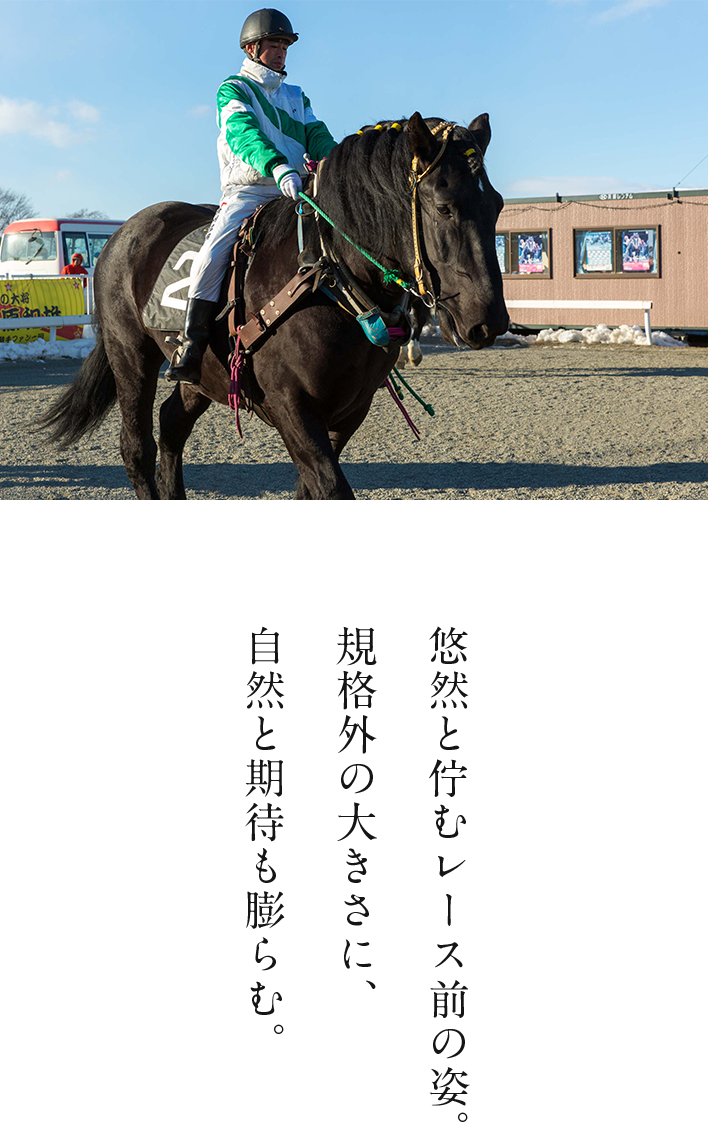 悠然と佇むレース前の姿。規格外の大きさに、自然と期待も膨らむ。