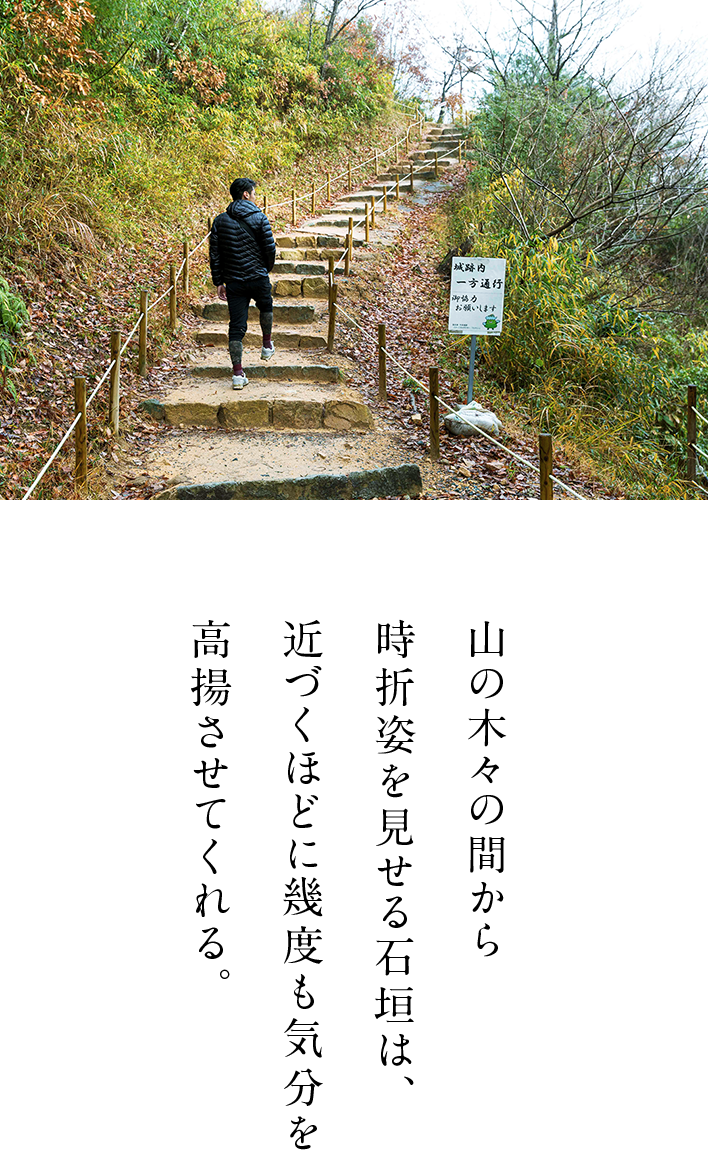 山の木々の間から時折姿を見せる石垣は、近づくほどに幾度も気分を高揚させてくれる。