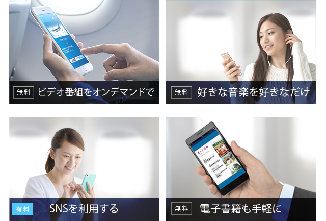 ビデオ番組をオンデマンドで 好きな音楽を好きなだけ SNSを利用する 電子書籍も手軽に