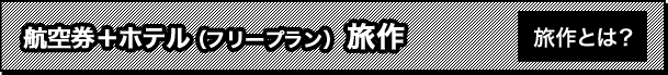 航空券＋ホテル（フリープラン）旅作