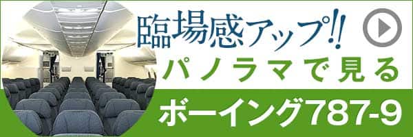 臨場感アップ！！パノラマで見るボーイング787-9