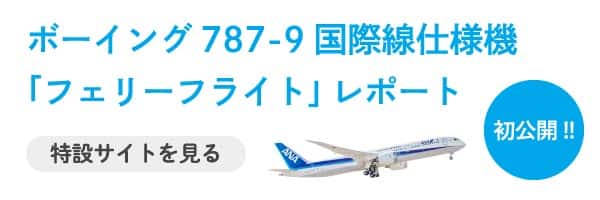 フェリーフライト フェリーフライト