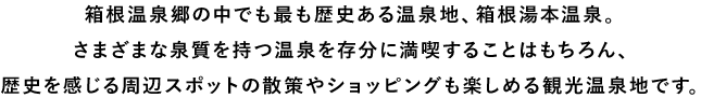 箱根温泉郷の中でも最も歴史ある温泉地、箱根湯本温泉。さまざまな泉質を持つ温泉を存分に満喫することはもちろん、歴史を感じる周辺スポットの散策やショッピングも楽しめる観光温泉地です。
