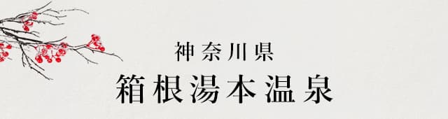 神奈川県 箱根湯本温泉