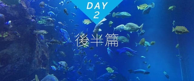 DAY2 後半篇