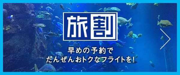 旅割 早めの予約でだんぜんおトクなフライトを!