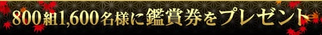 800組 1,600名様に鑑賞券をプレゼント