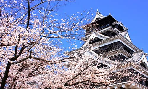 Lâu đài Kumamoto: Biểu tượng của Kumamoto bảo hộ Thị trấn lâu đài - Japan Travel Planner - ANA