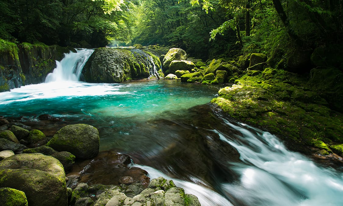 渓谷の写真 | 渓流の風景写真 _ 菊池渓谷リーフレット – IIPA
