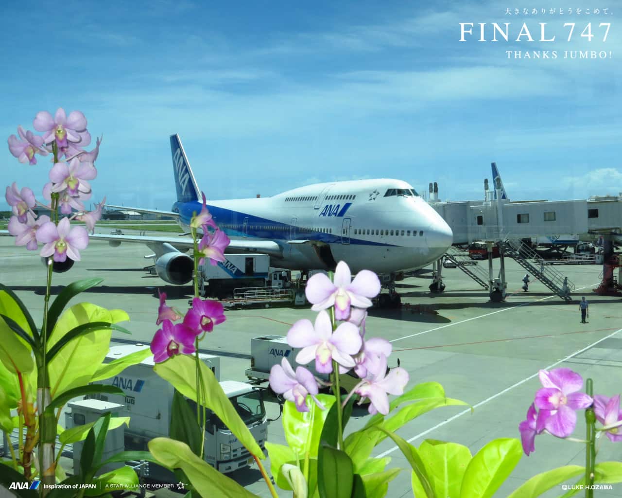 747 FOREVER -THANKS JUMBO-│ANA SKY WEB