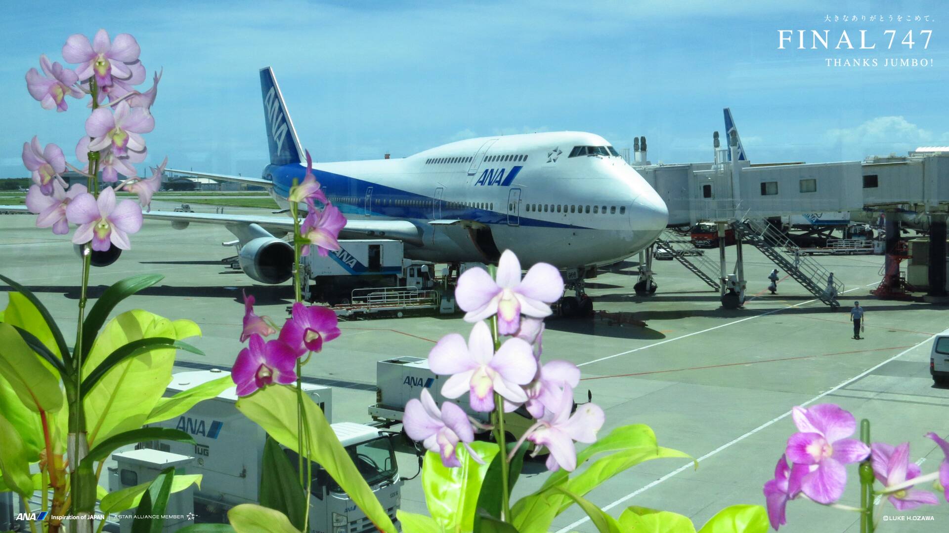 1/200 B747-400 ラストフライト記念 THANKS JUMBO! 747 FOREVER -THANKS JUMBO-│ANA SKY WEB