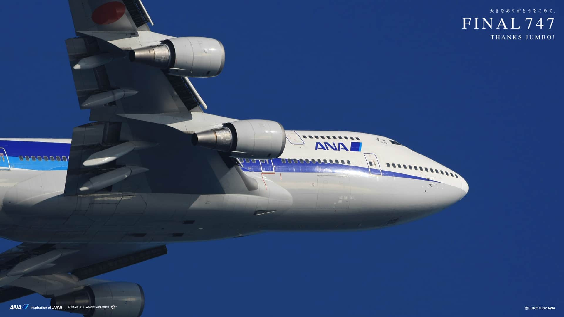 747 Forever Thanks Jumbo Ana Sky Web