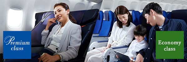 In-Flight Service [Domestic Flights]