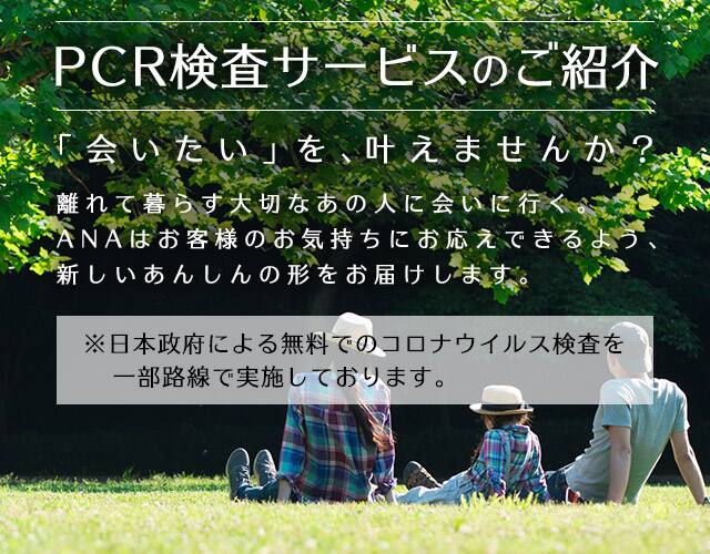 Ana 航空券 予約 空席照会 運賃案内 国内線