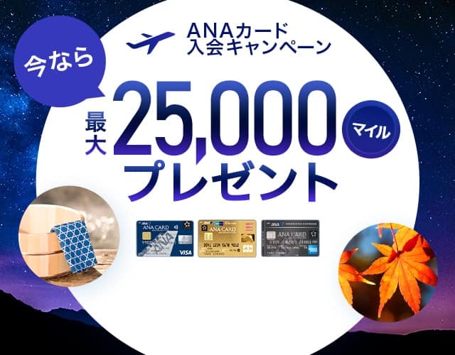 Ana 国際航空券 予約 空席照会 運賃照会 国際線