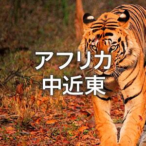 アフリカ・中近東