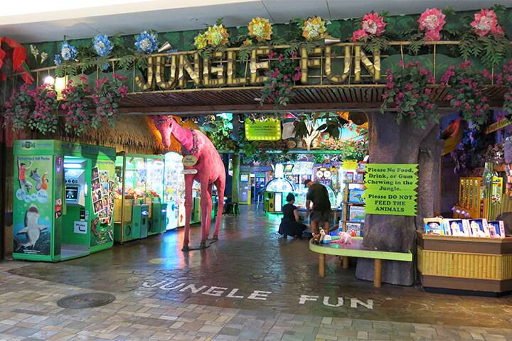 雨が降っても大丈夫 子どもが喜ぶホノルルの遊び場 Ana Travel Life