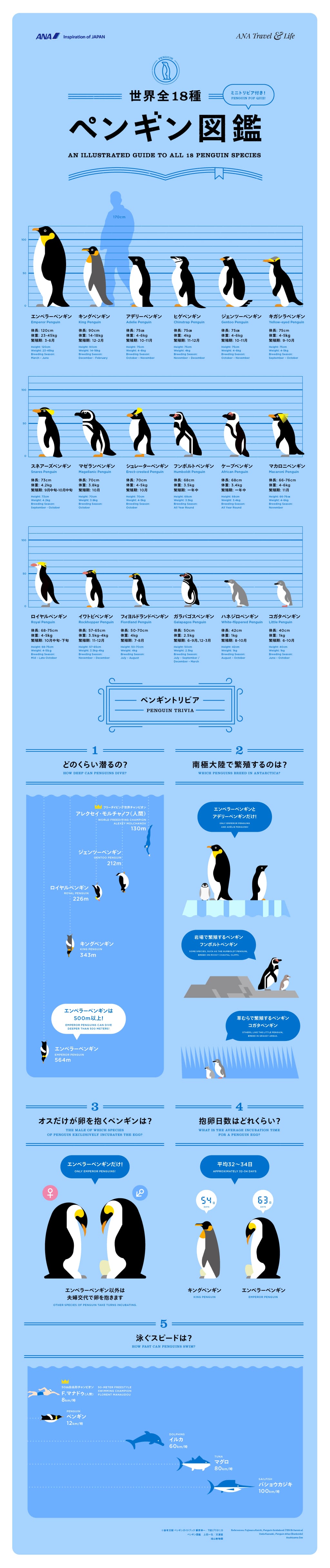 ミニトリビア付き 世界全18種 ペンギン図鑑 Ana Travel Life