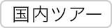国内ツアー