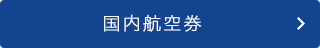 国内航空券
